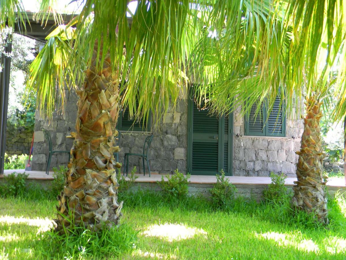 Agriturismo Gianferrante Paterno  Exteriér fotografie